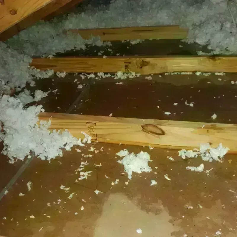 Attic Water Damage in Belton, MO